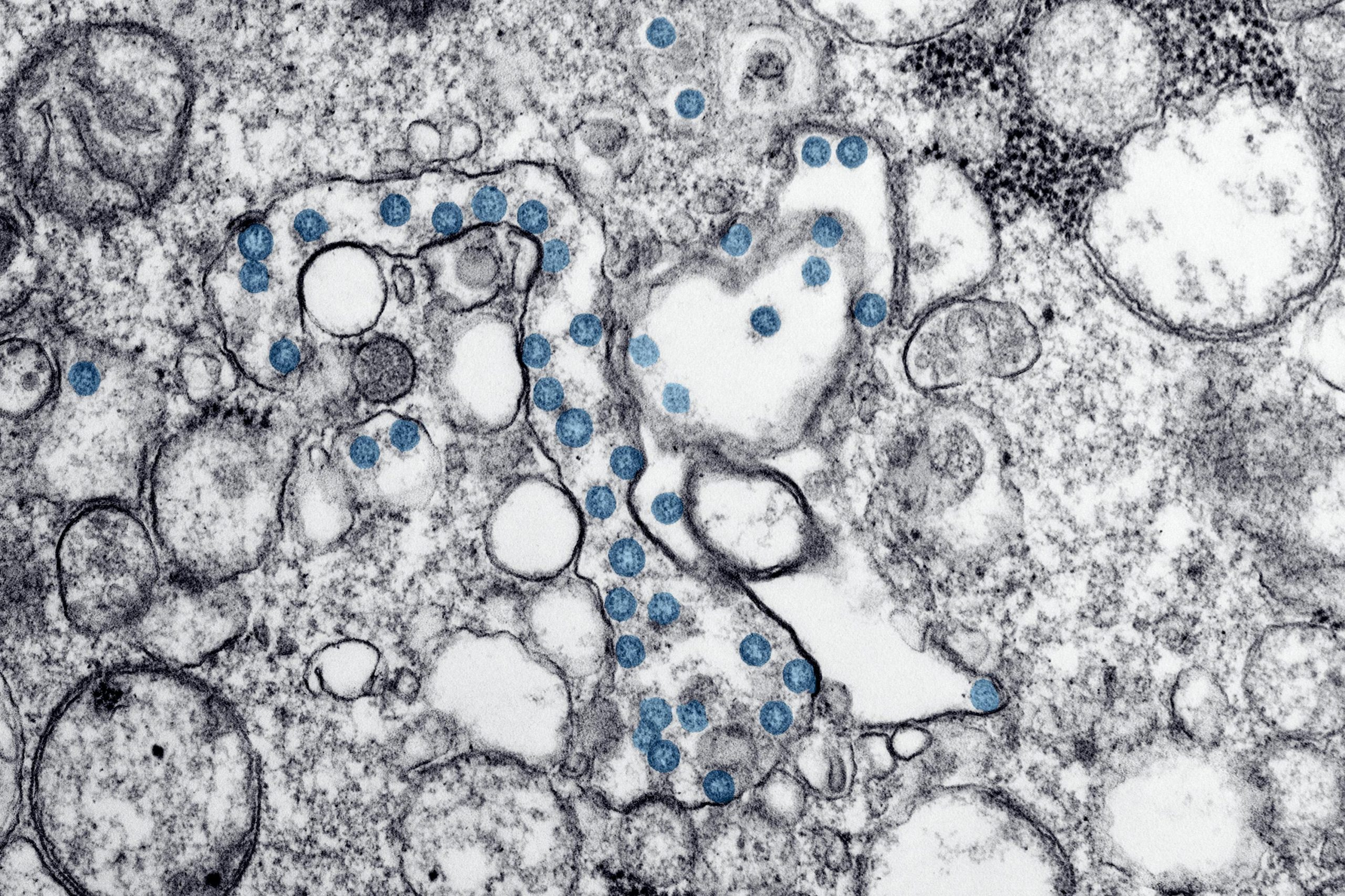 biological-evaluation